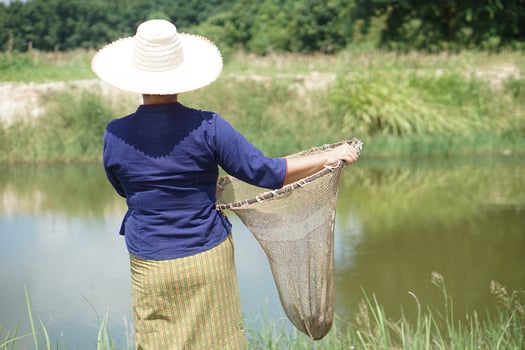 Asian woman farmer wears hat and stand at the pond, holds traditional equipment for catching fish for food. Concept, earn living from nature. Local lifestyle in Thailand. Countryside living lifestyle photo