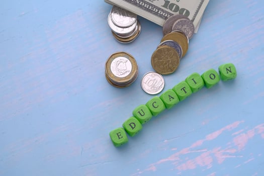 Financial Investment in Education examines the crucial connection between money and learning photo