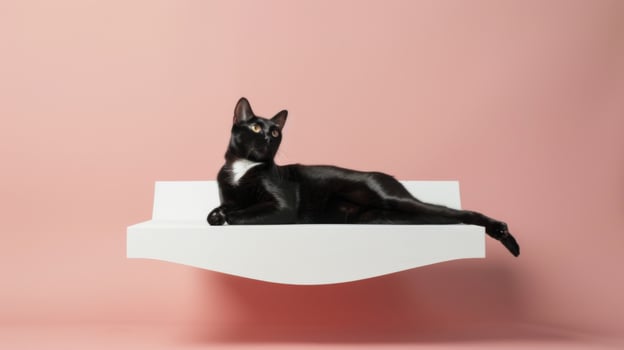 This stylish cat bed features a unique design, providing a cozy resting spot for a black cat. The minimalist pink background enhances the contemporary aesthetic, perfect for modern interiors photo