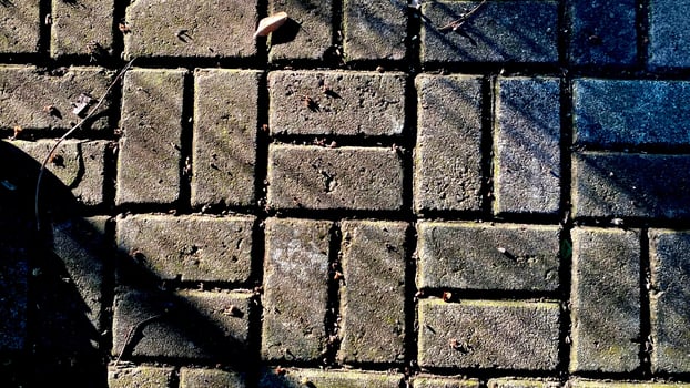 Cobblestone Path Texture photo