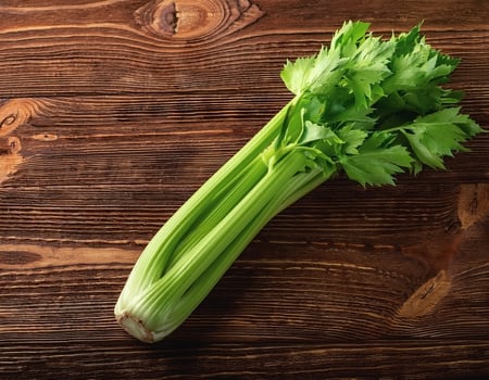 A fresh celery stalk on a wooden brown background photo