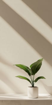 A vibrant green plant in a white pot sits on a light-colored table photo
