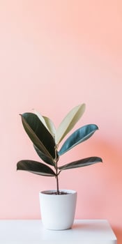 A potted plant stands against a vibrant pink wall in a cozy room photo