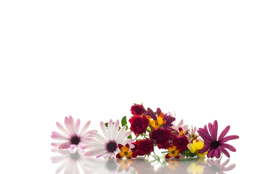 small bouquet of small multi-colored summer flowers.Isolated on white background photo