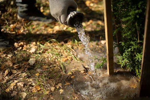 Watering plants in the park. Water pours on the ground. Caring for trees in the garden. photo