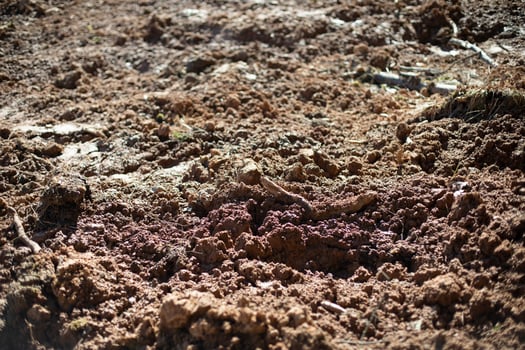Excavated soil. Broken land. Texture of mud. Clay and soil. photo
