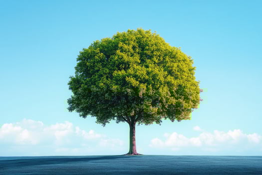 A Single Green Tree Standing Alone on a Blue Field Under a Blue Sky with White Clouds photo