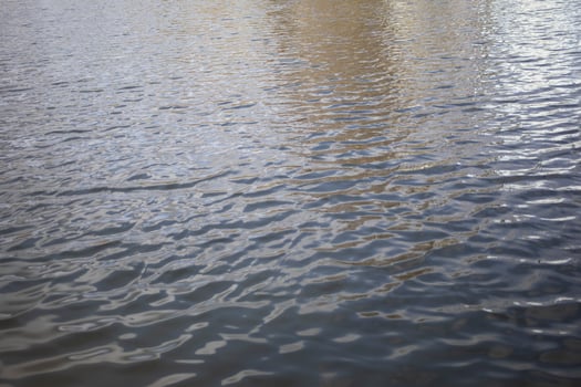 Waves on the water. Liquid surface. Spring water. photo