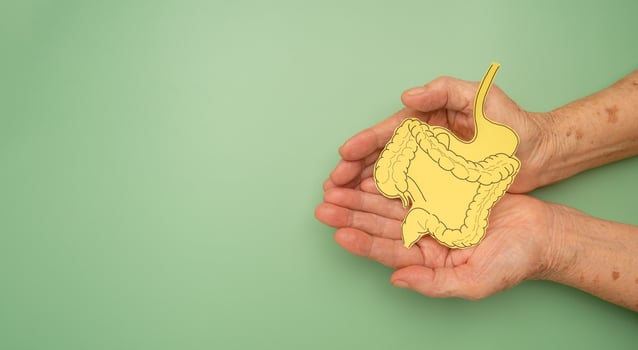 Large intestine shape made from paper on a palm senior woman on a green background photo