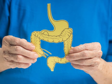 Close-up of hands old woman holding a large intestine shape made from yellow paper photo
