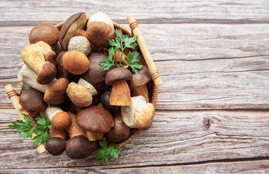 A vibrant assortment of fresh mushrooms collected in a basket displayed on rustic wooden surface photo
