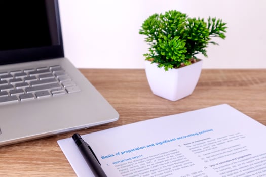 View of an accountant's desk with laptop, paperwork, and plants in pot photo