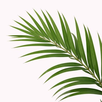 Tropical forest theme Isolated green palm leaf in 3D render illustration photo