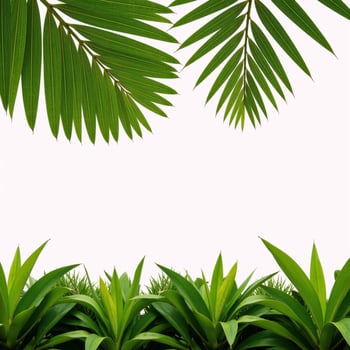 Tropical palm leaf textures with vibrant borders of fresh green plants photo
