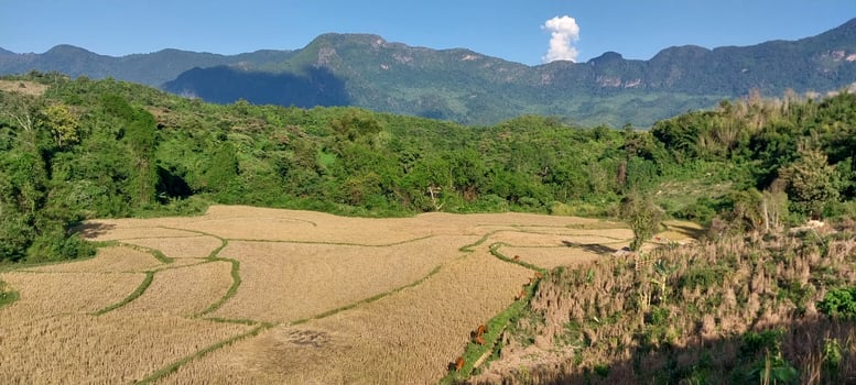 Scenic view of lush green mountains and terraced fields under a clear blue sky, perfect for nature and landscape photography. photo