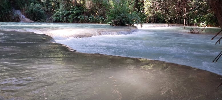 Scenic view of a tranquil river flowing through lush forest vegetation, showcasing natural beauty and serenity. photo