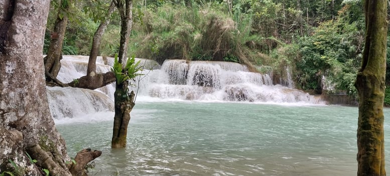 Scenic view of cascading waterfall in tropical forest, with clear turquoise water and lush green trees surrounding the area. photo