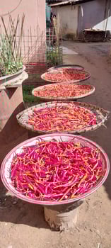 Four baskets filled with drying red chilies under the sun, showcasing traditional methods of preserving and preparing spices. photo