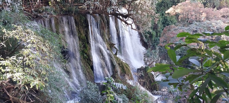 Beautiful cascading waterfall surrounded by lush greenery and trees in a forest setting, offering a tranquil and scenic view. photo