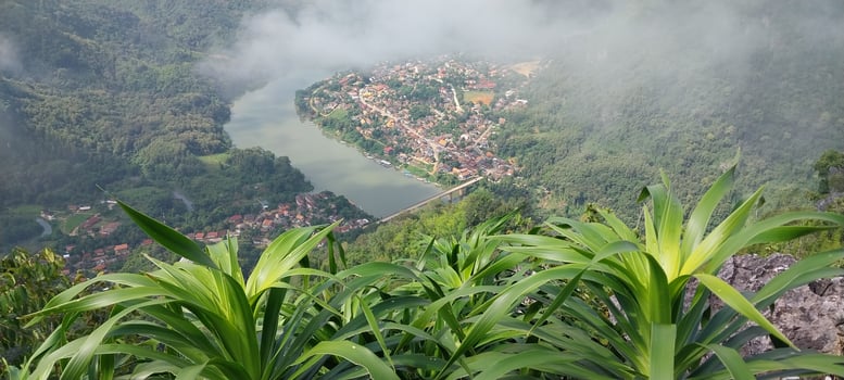 Lush green plants overlooking a scenic valley with a river and fog-covered town in the background. photo