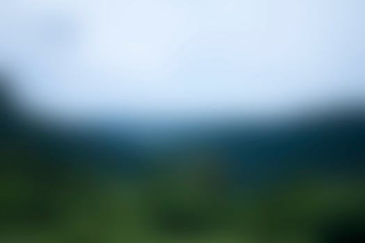 Abstract green gradient background, ideal for creating a natural, peaceful, and soothing atmosphere in design projects photo