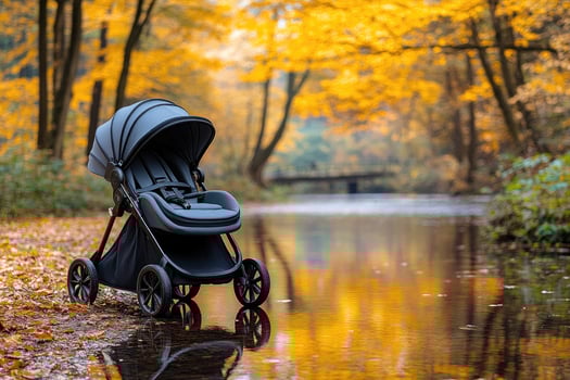 Black Stroller Parked by a Creek in Autumn photo