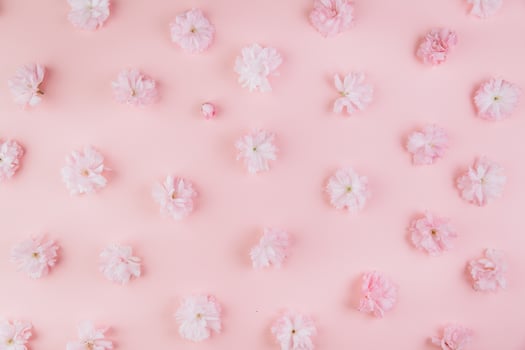 Spring background of painted pink board with branch of flowering cherry branch covered with pink flowers as a border photo