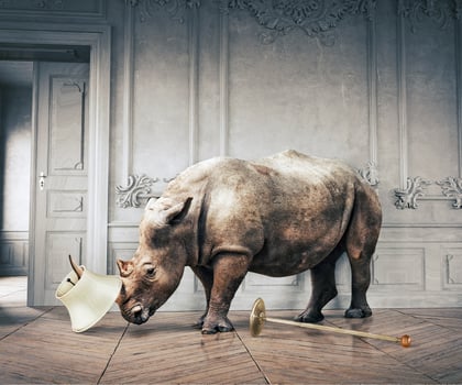wild rhino in the luxury room photo