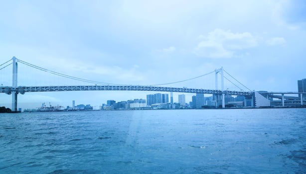 A bridge spanning across the water in front of a city photo