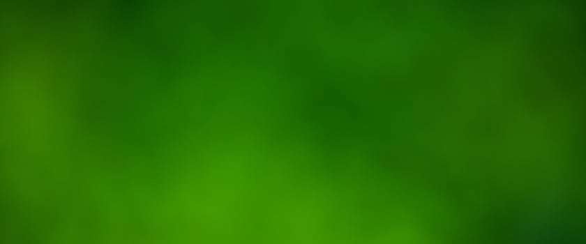 natural blurred background. bokeh green foliage shrubs and trees photo