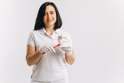 Woman dentist shows on the layout how to brush your teeth photo