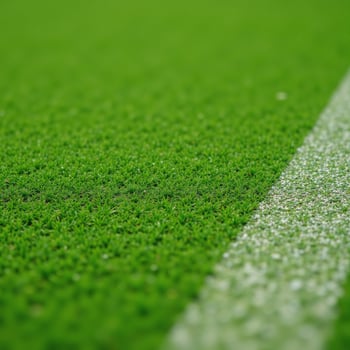Grass Tennis Court Detailed CloseUp Image photo