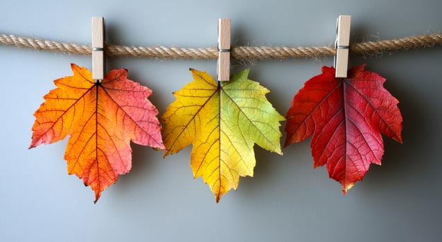 Three leaves are hanging from a string, one is yellow, one is orange, and one is red. The leaves are arranged in a row, with the yellow leaf in the middle and the orange and red leaves on either side photo