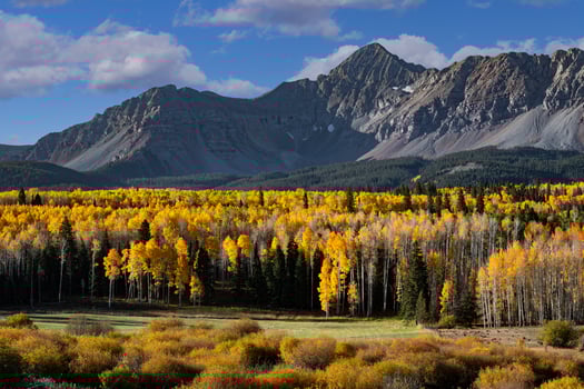 Autumn Color in the San Juan Mountains of Colorado. Wilson Peak as viewed from Wilson Mesa at sunrise photo