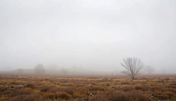 Mysterious Fog Shrouding Hills Under Cloudy Skies photo