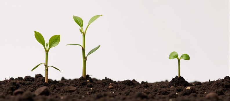 Isolated illustration of a tree sprouting from the earth created with intricate details and textures photo