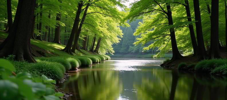 Breathtaking forest landscape featuring a winding river and lush foliage photo