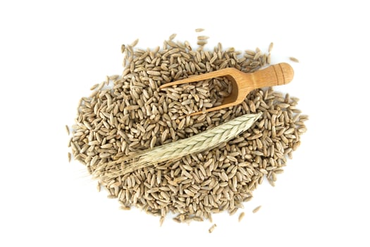 Wooden scooper filled with rye grains on white background photo