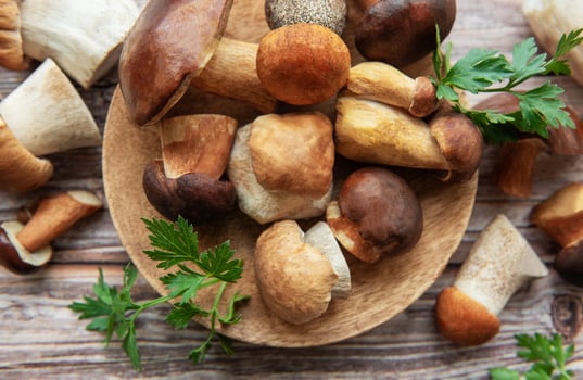 Assorted fresh mushrooms and herbs arranged on a wooden board in a rustic kitchen setting photo