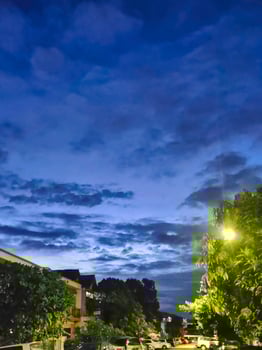 As dusk settles, trees stand against a dramatic sky filled with clouds. Streetlights glow softly while nearby homes add charm to the serene atmosphere. photo