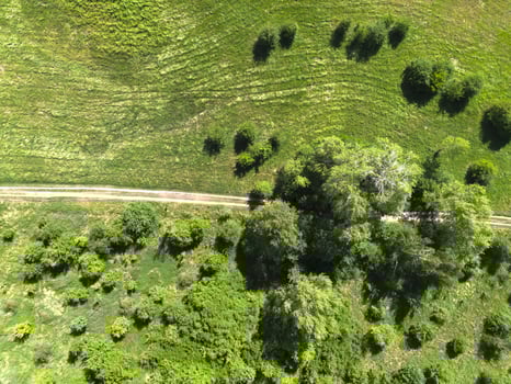 Country road going through a meadow with green grass and trees. View from above. Poland photo