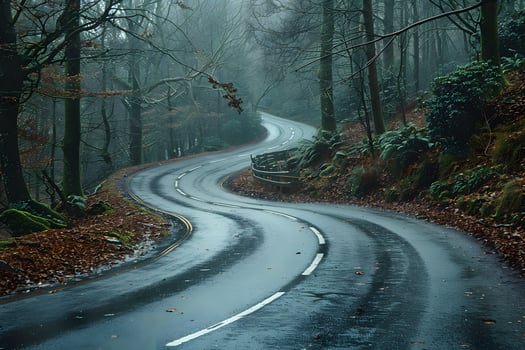 Misty Forest Road in Autumn Serene Nature and Tranquil Travel Scene photo