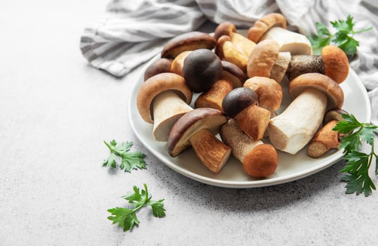 Freshly gathered assorted mushrooms on a plate with herbs set on a gray countertop for culinary preparation photo