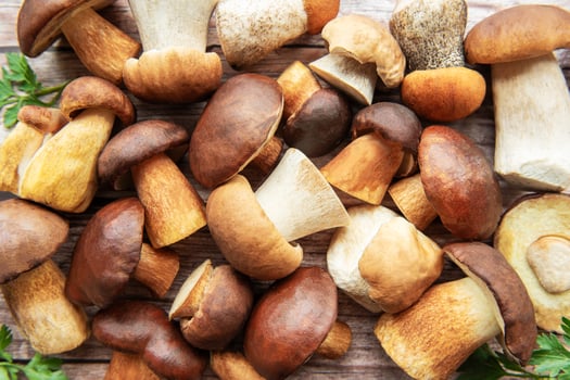 Assorted fresh mushrooms gathered from the forest, showcasing different sizes and colors on a rustic wooden surface photo