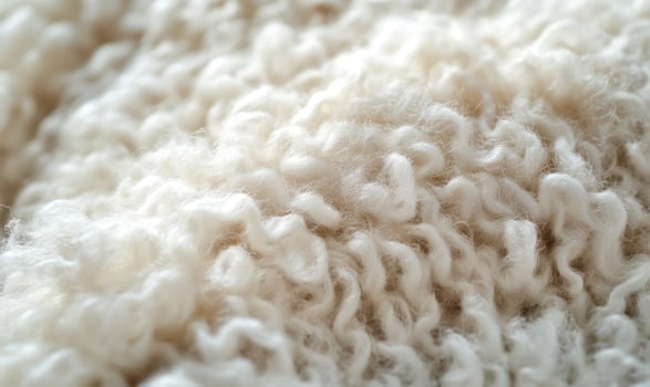 A close up of a fluffy white sheep's wool photo