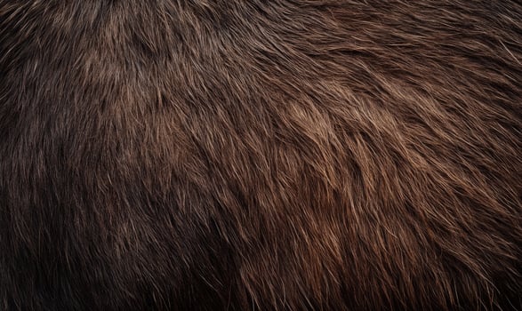 The fur of a brown animal is shown in detail, with the texture photo
