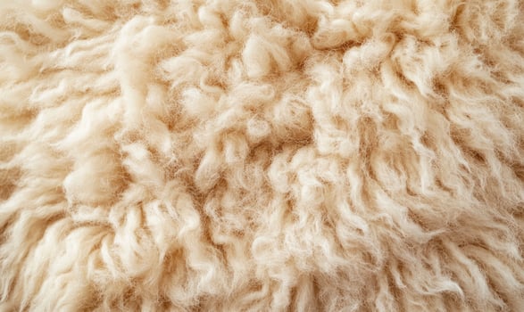 A fuzzy, shaggy texture that is predominantly white photo