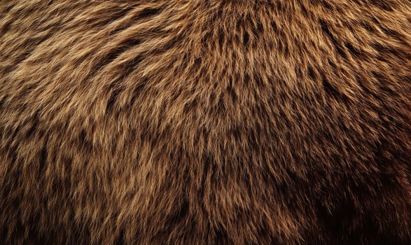 A close up of a bear's fur with a lot of texture photo