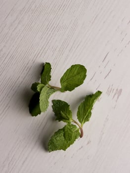 fresh mint leaves peppermint spice leaf plant antioxidant vegan business photo health herb food art