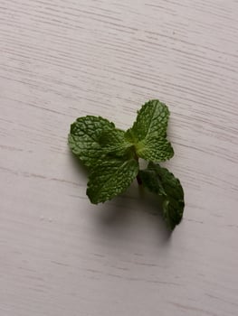 fresh mint leaves peppermint spice leaf plant antioxidant vegan business photo health herb food art